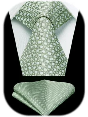Productafbeelding van Dasherrie en zakdoek set, heren, lichtgroen/saliegroen, ruitpatroon, plaid, geschikt voor zakelijk gebruik en bruiloften