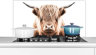 Produktbild von KitchenYeah®  Spritzschutz Küche - Küchenrückwand - Wandschutz für Herd und Spüle - Schottisches Hochlandrind - Kuh - Tiere 100x50 - Alu-Dibond (Alternative zum Spritzschutz aus Glas) - Hitzebeständig