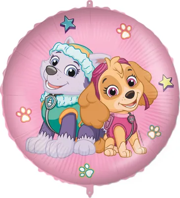 Immagine prodotto di Pallone ufficiale Paw Patrol colorato in alluminio da 46 cm - taglia unica