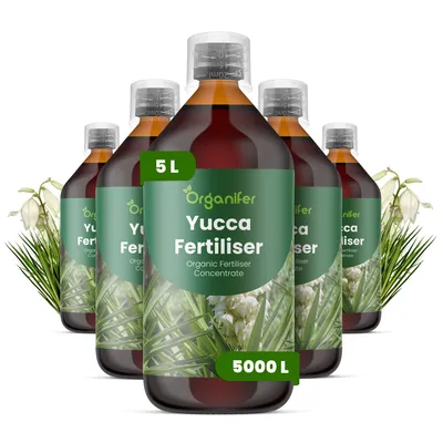 Produktbild von Flüssigdünger Für Yucca 5x1L – 3-4-3 NPK – Flüssig-Pflanzendünger Für Yucca – Für Maximales Wachstum, Starke Wurzeln & Widerstandskraft – Organifer
