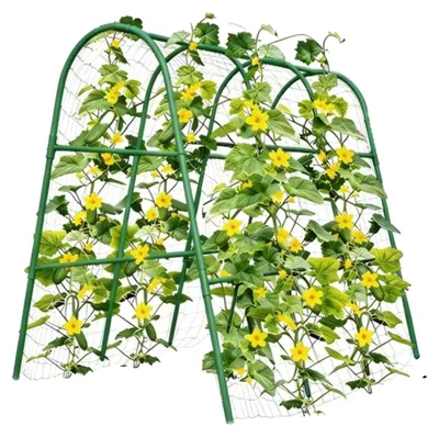 Obrázek produktu pro Popínací konstrukce pro popínavé rostliny, U-tvar, konstrukce z nerezové oceli, rozměry 160 x 120 cm