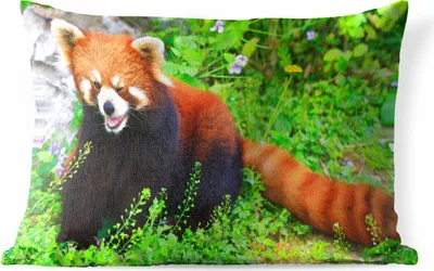 Produktbild von MuchoWow® Outdoor Kissen - Roter Panda - Grün - Gras - 50x30 cm - Wetterfest - Lounge Kissen - Sofa kissen - Wohnzimmer Dekoration