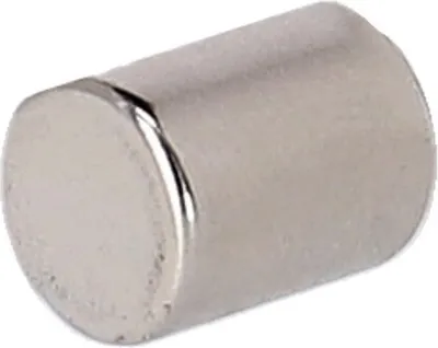 Produktbild von Campagnolo Magnetstift für Nippelmontage UT-WH050 zur Verwendung für MoMag-Fe....