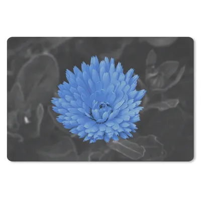 Produktbild von MuchoWow® Schreibtischunterlage Blumen - Schwarz - Weiß - Blau 60x40 cm - XXL Mauspad - Großes Mauspad