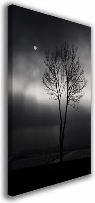Zdjęcie produktu dla OBRAZ NA PŁÓTNIE 024 Drzewo 30x40cm