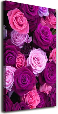 Immagine prodotto di Tulup Leinwandbild® - 70x140 cm - Arte da parete - Stampe su tela - Stampa su tela - Decorazione da parete per soggiorno di grandi dimensioni - Stampe artistiche per la decorazione della casa - Fiori e piante - Rosa - Rose rosa