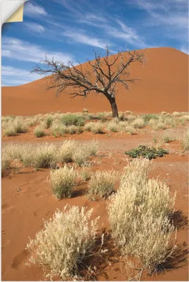 Produktbild von ARTland Wandbild, selbstklebend Namib-Wüste 2 Größe: 60x90 cm