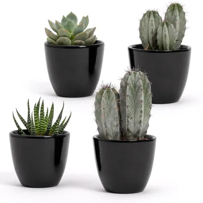 Obrázek produktu pro Omgoods – Sada 4 keramických květináčů pro vnitřní použití, rozměry 7 x 6 cm