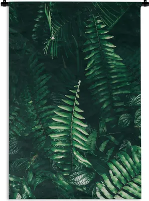 Produktbild von MuchoWow® Wandteppich Wandbehang Blätter - Dschungel - Natur - Tropisch - Pflanzen 120x180 cm Tapisserie Dekoration Wandtuch - Schlafzimmer - Dekorationen für das Haus