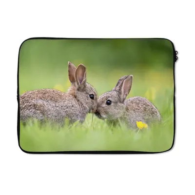 Produktbild von MuchoWow® Laptop Hülle 13 Zoll Kaninchen - Baby - Gras Laptoptasche - Laptophülle - Sleeve - Rundumschutz
