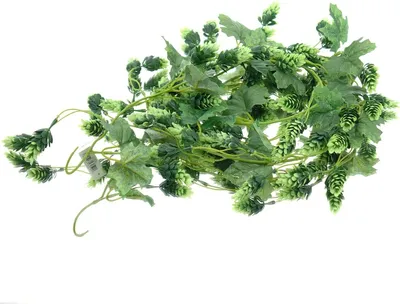 Produktbild von DPI Hopfen - Girlande Grün 180 cm - Kunstpflanzen