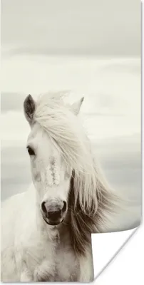 Produktbild von MuchoWow® Poster Pferd - Strand - Mähne 60x120 cm - Wandschmuck