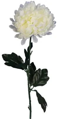 Obrázok produktu pre Umelo vyrobená biela chrysantéma, 50 cm - dekorácia na Dušičky