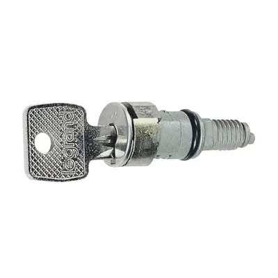 Image de Legrand 036822 cylindre de fermeture 405