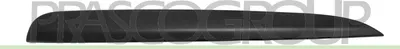 Produktbild von PRASCO Kühlergrill-Zierleiste BM0311233 Rechts für BMW 3 Touring (F31)