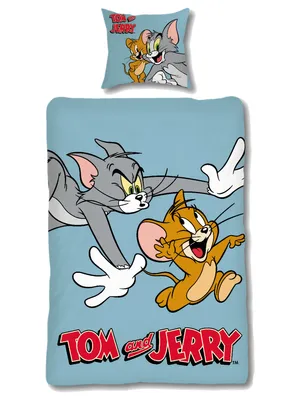 Produktbild von Skybrands Bettwäsche-Garnitur Tom & Jerry Farbe blau Größe 135x200+80x80cm