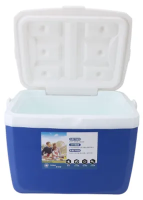 Produktbild von Isolierkühler, 13 Liter, tragbarer Kühlbox für Strand, Camping und Picknick