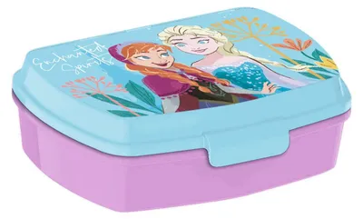 Obrázok produktu pre Sada obeda Disney Frozen: krabička na obed a fľaša z hliníka, objem 500 ml