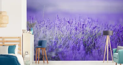Immagine prodotto di Carta da parati in tessuto non tessuto murale bella lavanda fiori natura 180 cm (L) x 120 cm (H) murale decorazione murale