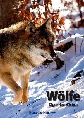 Produktbild von Wölfe