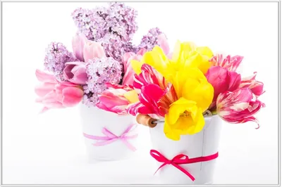 Produktbild von Wallario Wandbild Zwei Blumen-Bouquets aus gelben und roten Tulpen und Flieder, Größe: 61 x 91,50 cm, Poster mit weißem Aluminiumrahmen