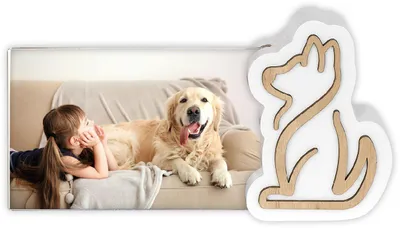 Produktbild von ZEP ZX7446 Acryl-Holz-Fotorahmen Rudi 10x15 cm Hunde-Bilderrahmen