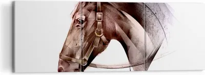 Produktbild von Bild auf Leinwand - Leinwandbild - Pferd Abstraktion - 120x40cm - Wand Bild - Wanddeko - Wandbilder - Leinwanddruck - Bilder - Kunstdruck - Wanddekoration - Leinwand bilder - Wandkunst - CA120x40-4106