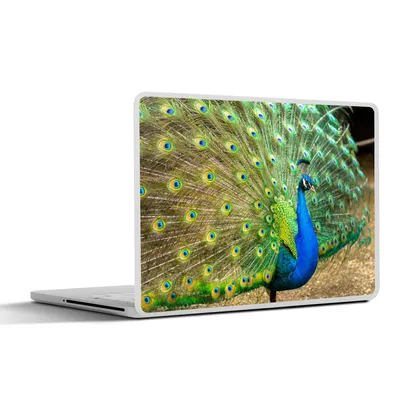 Produktbild von MuchoWow® Laptop Aufkleber Sticker Cover Pfau - Federn - Nahaufnahme 32.5x23.5 cm - Sticker für Laptop - Selbstklebend