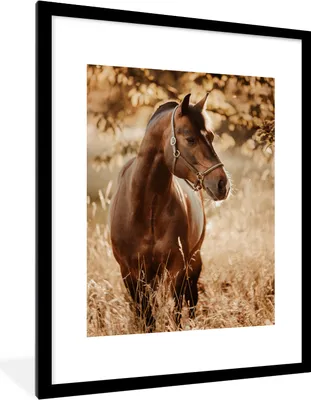 Produktbild von MuchoWow® Gerahmtes Poster Pferd - Sonne - Porträt - Natur - Braun 60x80 cm - Poster mit Schwarzem Bilderrahmen Wandposter Rahmen Foto Bilder - Wohnzimmer - Dekorationen - Prämie