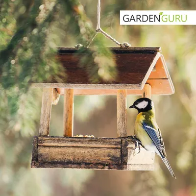 Produktbild von Vogelfutter Wildvogelfutter 25kg Ganzjahresfutter für Vögel Hühner Tauben 25 kg