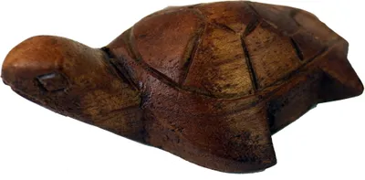 Produktbild von Geschnitzte Kleine Deko Figur - Schildkröte 4, Braun, Holz, 3*8*2 cm, Tierfiguren