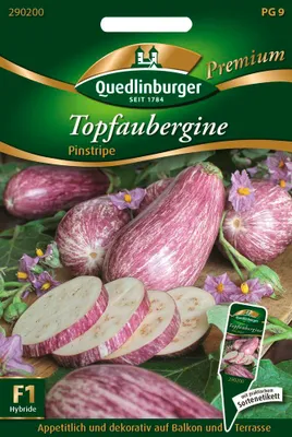 Produktbild von Topfaubergine Pinstripe F1 | Auberginensamen von Quedlinburger