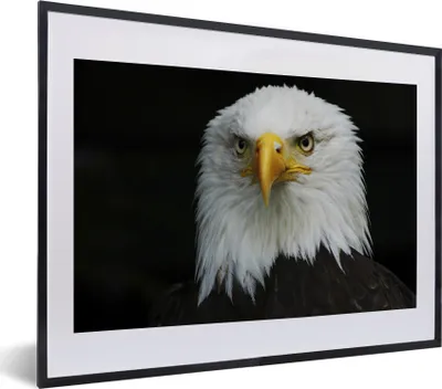 Produktbild von MuchoWow® MuchoWow® Gerahmtes Poster Adler - Schwarz - Weiß 40x30 cm - Poster mit zchwarzem Bilderrahmen - Bilderrahmen - Poster im Rahmen