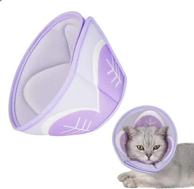 Image de Collier pour chat - Collier pour chat - Collier de protection pour chat - Collier opération chat