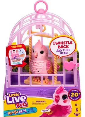 Image de Moose - Little Live Pets My Really Real Bird & Cage Rosie