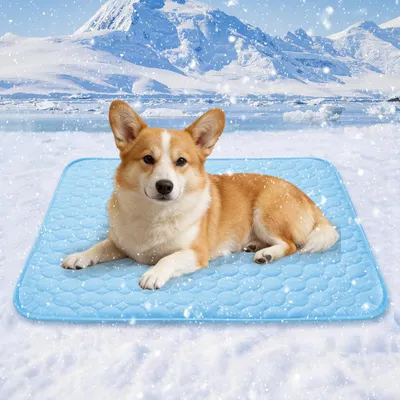 Produktbild von Hunde-Kühlmatte 100x70 cm, blau, faltbar, für Innenbereich