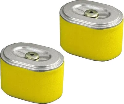 Immagine prodotto di 2 X Filtro aria Honda GX110 GX120 GX140 GX160 GX200 17210-ZE1-505 17210-ZE1-821