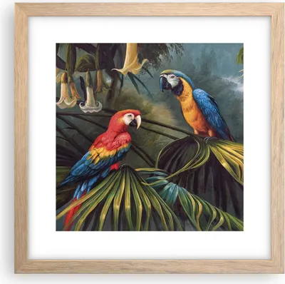 Produktbild von Gerahmtes Poster - Rahmen in heller Eiche - Ara Papageien Palmen - 30x30 cm - Wand Bild - Wanddeko - Wandbilder - Kunstposter - Wandposter - Bilderrahmen - Bilder - Kunstdruck - P2NAC30x30-4780