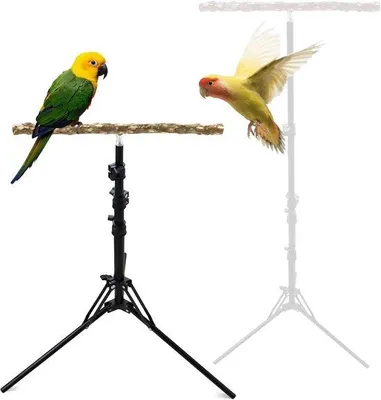 Immagine prodotto di Trespolo regolabile in altezza in legno naturale per uccelli di piccole e medie dimensioni in casa e all'aperto