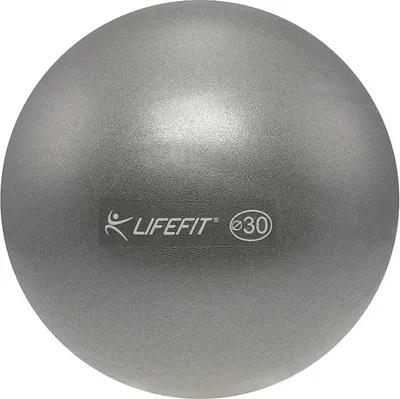 Productafbeelding van Míč OVERBALL LIFEFIT®, 30 cm, zilverkleurig