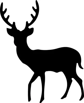 Produktbild von VBS Motivlocher "Hirsch", 7,6 cm
