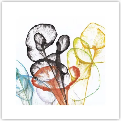 Produktbild von Poster - Poster ohne Rahmen - Blumen Abstraktion Surrealismus - 30x30 cm - Wand Bild - Wanddeko - Wandbilder - Kunstposter - Wandposter - Bilder - Kunstdruck - Wanddekoration - P2XAC30x30-4444