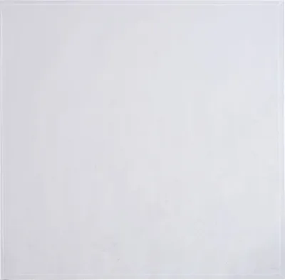 Produktbild von FireFix Kamin-Glasbodenplatte 8 mm mit Facette 120 x 120 cm