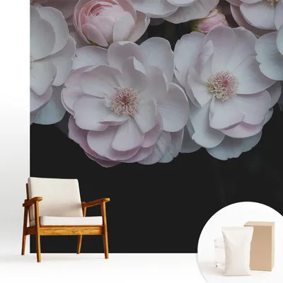 Produktbild von Fototapete  - 250x250 cm - Tapete - Wandtapete - Wandbilder - Dekofolie - Tapete Folie - Wand - Dekoration - Wohnzimmer - Ein zarter Blumenstrauß