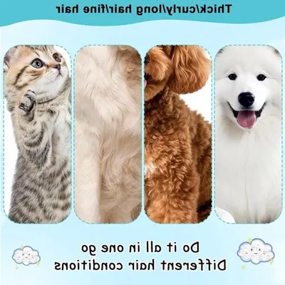 Hunde und Katzen Fellentwirrer und Unterfellkamm für langhaarige Tiere, entfernt Knoten und Unterwolle, ideal für Fellpflege