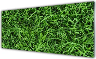Produktbild von Acrylglasbilder 125x50 Wandbild Druck Gras Rasen Pflanzen