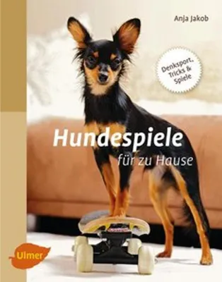 Image de Hundespiele für zu Hause