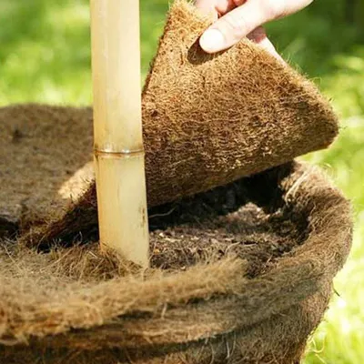 Produktbild von Kokos-Mulchscheibe 45cm Kokosmatte Winterschutz Frostschutz Pflanzenschutz