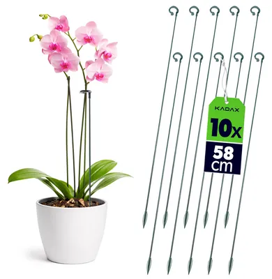 Produktbild von KADAX Blumenstützen 58 cm, 10er Set, Orchideenstäbe zur Stabilisierung von Stängeln und Blüten, Pflanzstäbe aus Glasfaser & Kunststoff, Rankhilfe für Orchideen