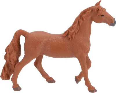 Immagine prodotto di Animale domestico - castrone americano da sella